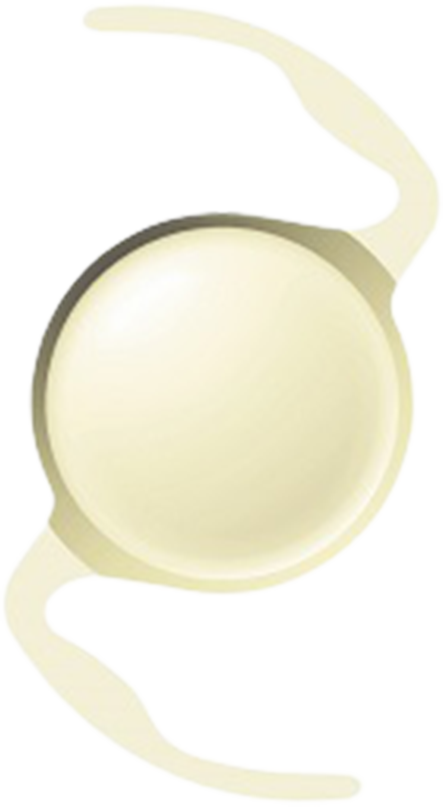 開始在總部工廠生產(chǎn)人工晶狀體 圖片